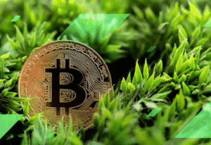 How Green Cryptocurrency Projects Work